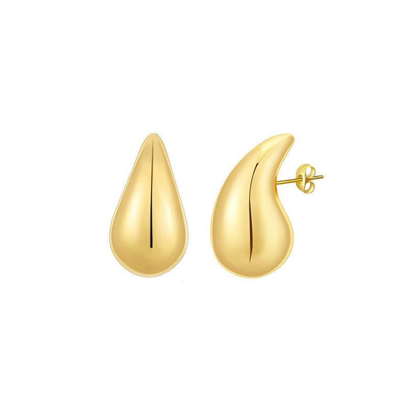 Aero Chic Earrings - Shopylife -