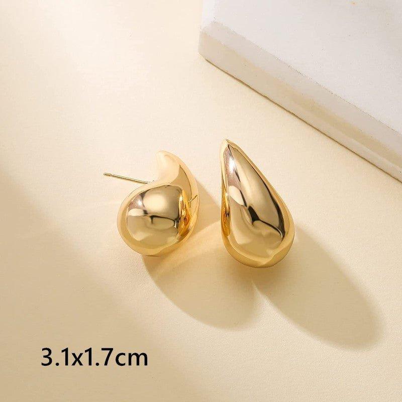 Aero Chic Earrings - Shopylife -