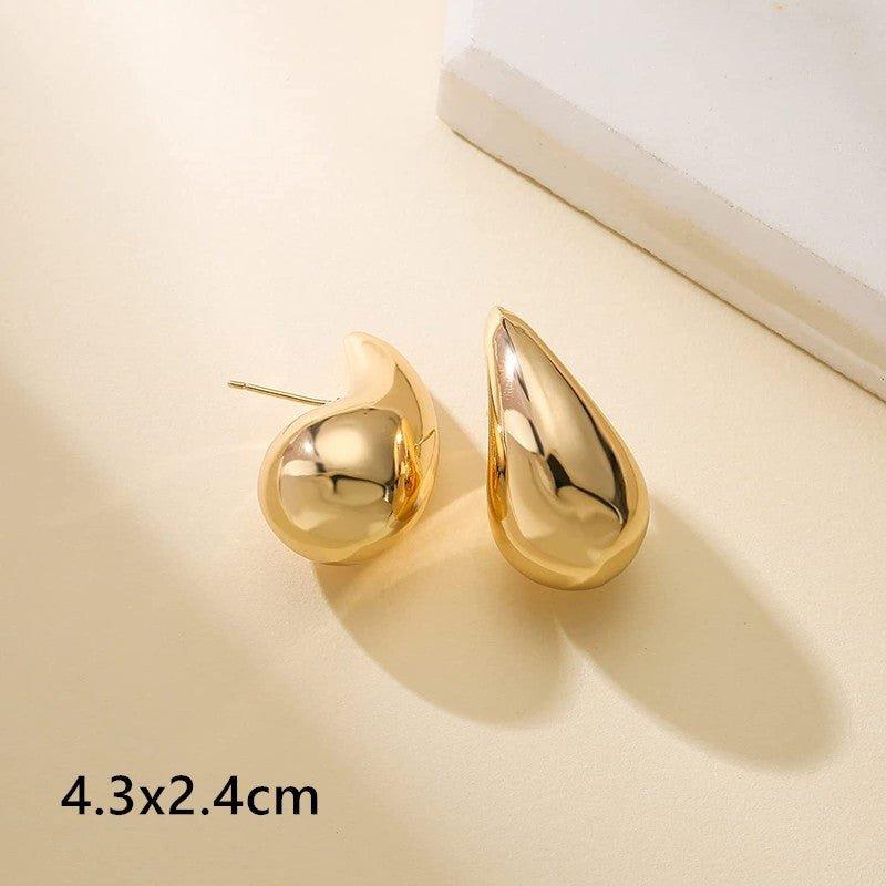 Aero Chic Earrings - Shopylife -