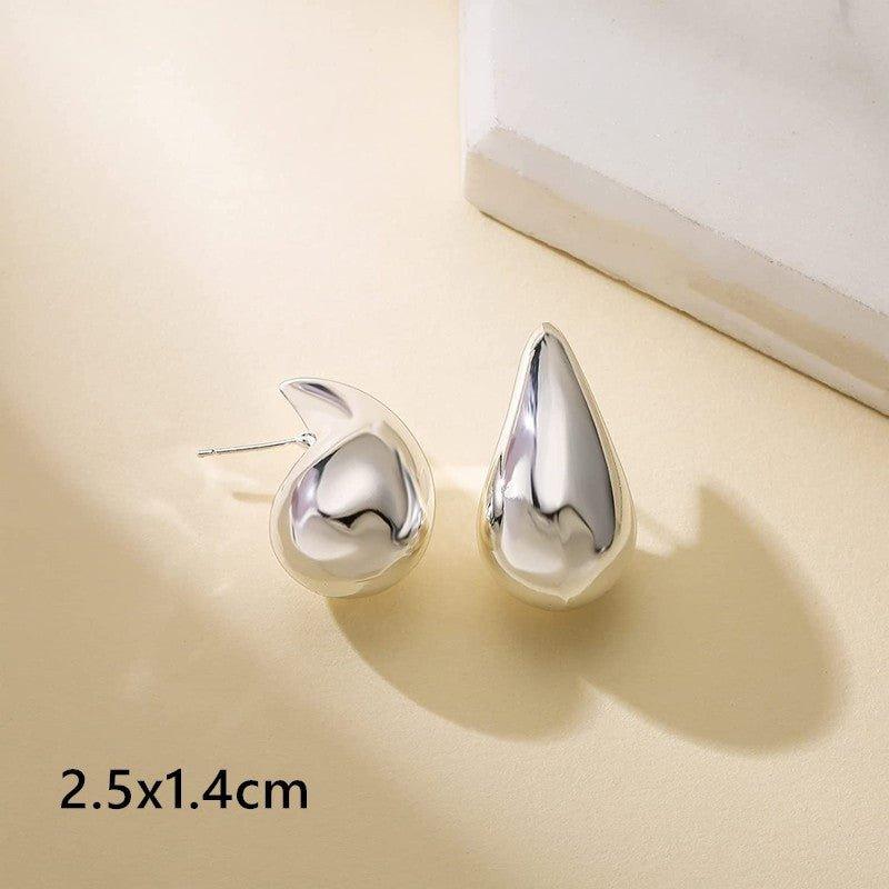 Aero Chic Earrings - Shopylife -