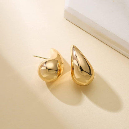 Aero Chic Earrings - Shopylife -   